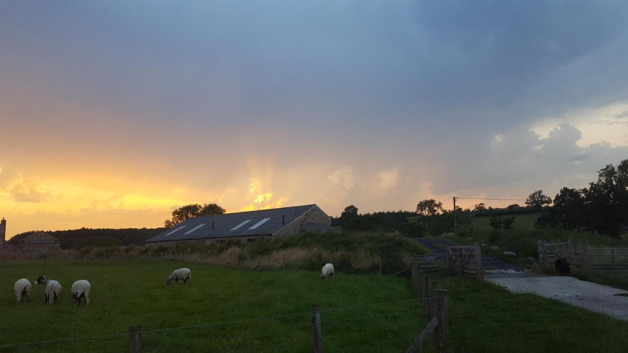 Keld Barn, Low Ploughlands Holiday Lets Kirkby Stephen Exteriör bild
